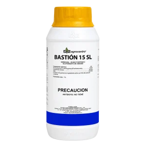 Bastión