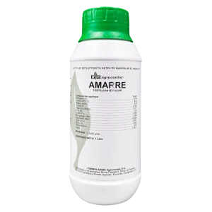 Amarre